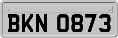BKN0873