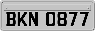 BKN0877