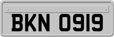 BKN0919