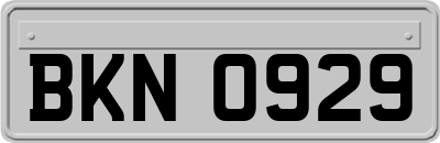 BKN0929