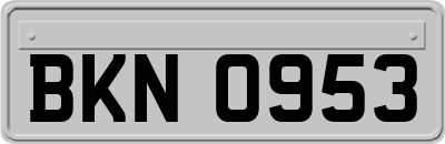 BKN0953