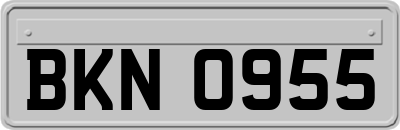 BKN0955
