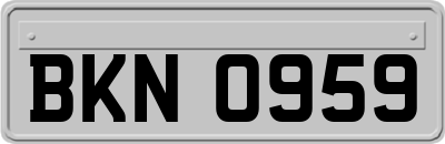 BKN0959