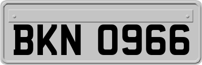 BKN0966