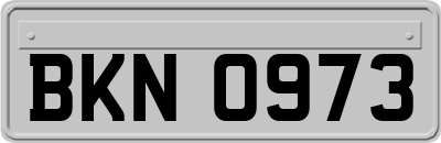 BKN0973