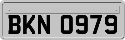 BKN0979