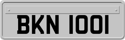 BKN1001