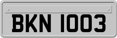 BKN1003