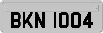 BKN1004