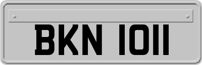 BKN1011