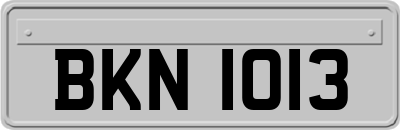 BKN1013