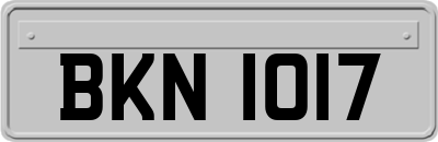 BKN1017