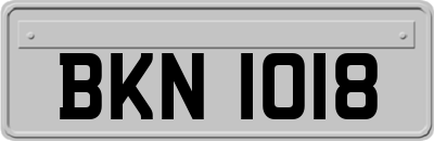 BKN1018