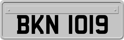BKN1019