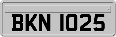 BKN1025