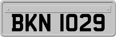 BKN1029