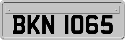 BKN1065