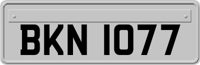 BKN1077