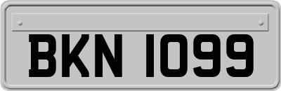 BKN1099