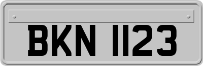 BKN1123