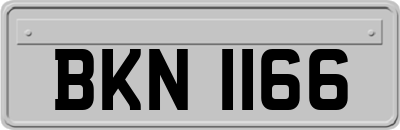 BKN1166