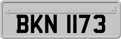BKN1173