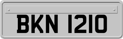 BKN1210