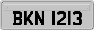 BKN1213