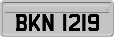 BKN1219