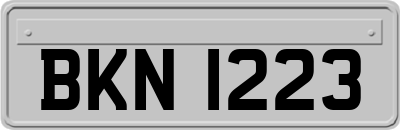 BKN1223