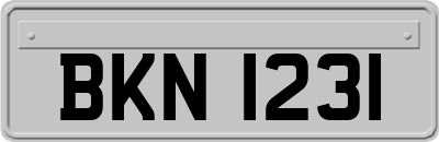 BKN1231