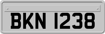 BKN1238