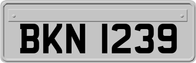 BKN1239