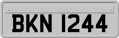 BKN1244