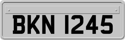 BKN1245