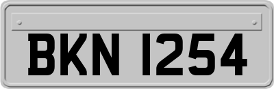 BKN1254
