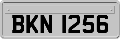 BKN1256