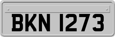 BKN1273