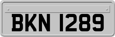 BKN1289