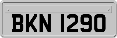 BKN1290