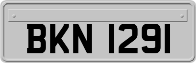 BKN1291