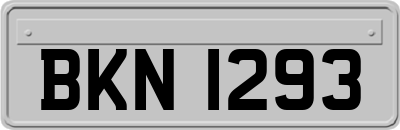 BKN1293