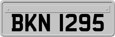 BKN1295