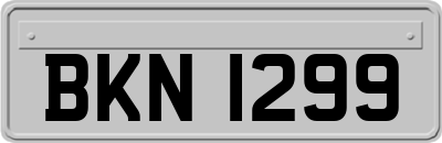BKN1299