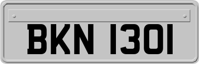 BKN1301