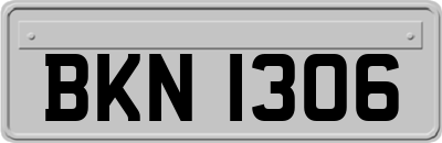 BKN1306