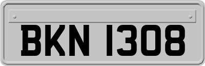 BKN1308