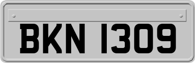 BKN1309