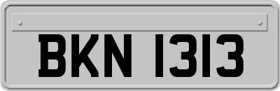 BKN1313