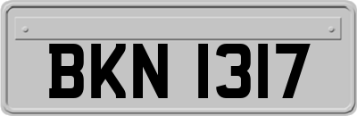 BKN1317
